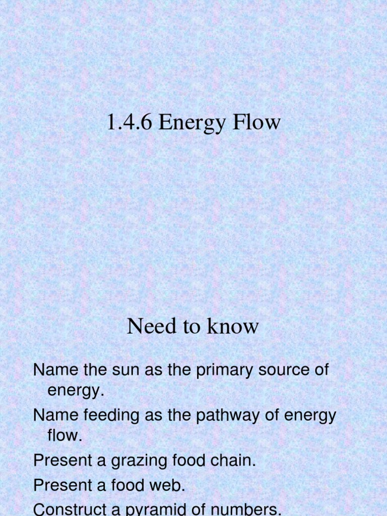 Energy Flow Worksheet Answers