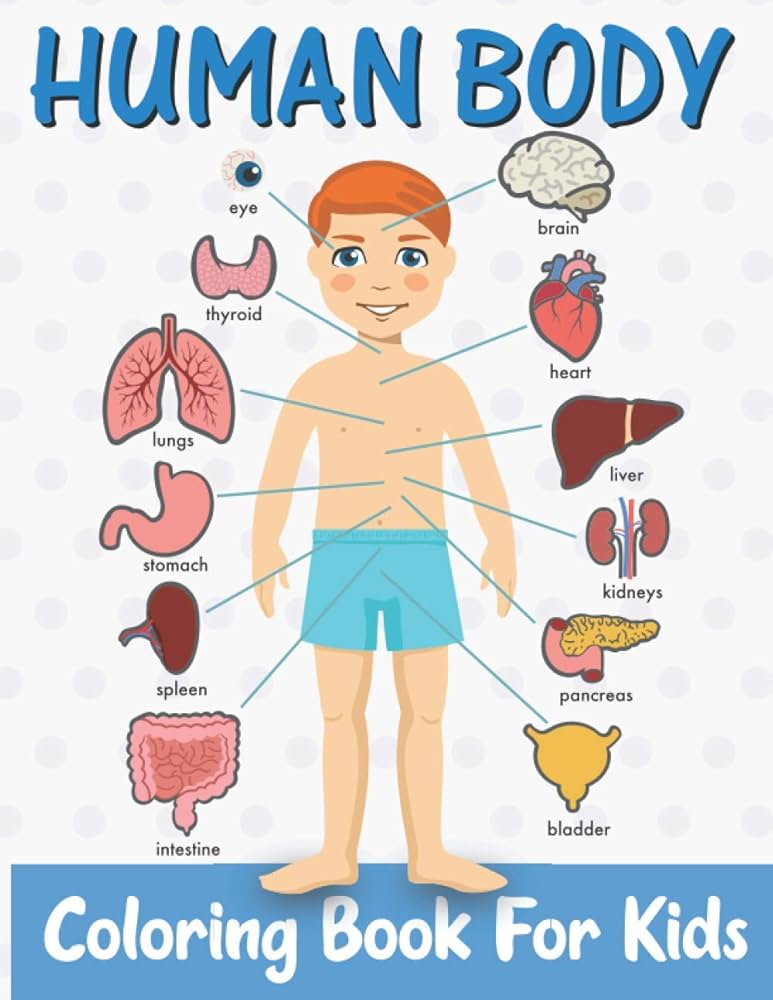 10 Fun Ways To Teach Kids Anatomy