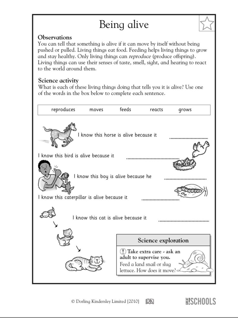 10Th Grade Science Worksheets Pdf