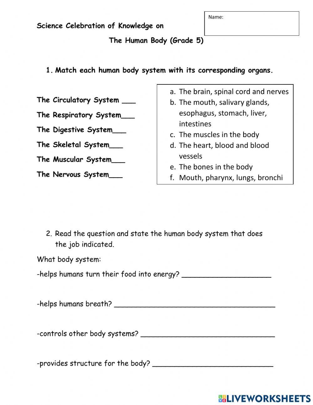 2nd Grade Science Worksheets: Fun Learning Activities for Kids