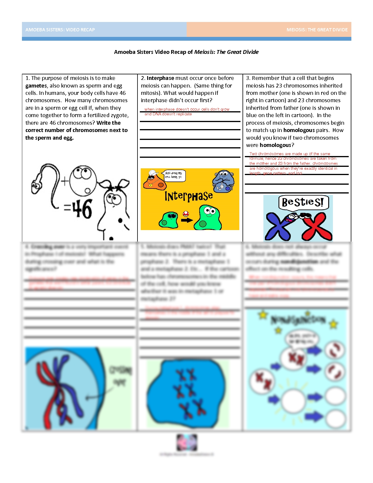 30 Meiosis Worksheet Answer Key Pdf Chrisevangeline