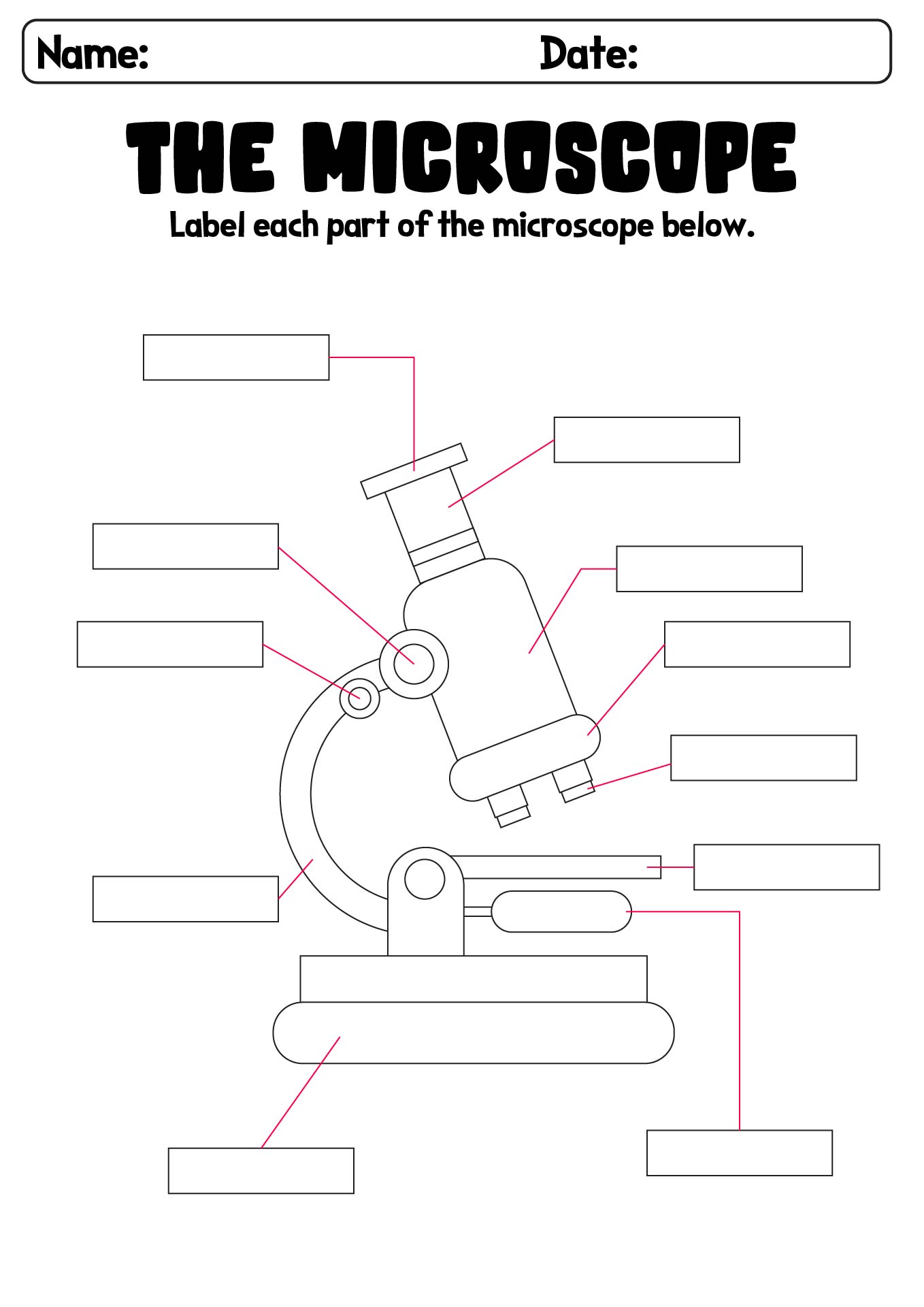 30 Microscope Labeling Worksheet Worksheets Decoomo