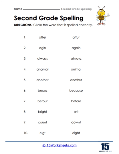 3rd Grade Spelling Words Worksheets for Kids to Practice