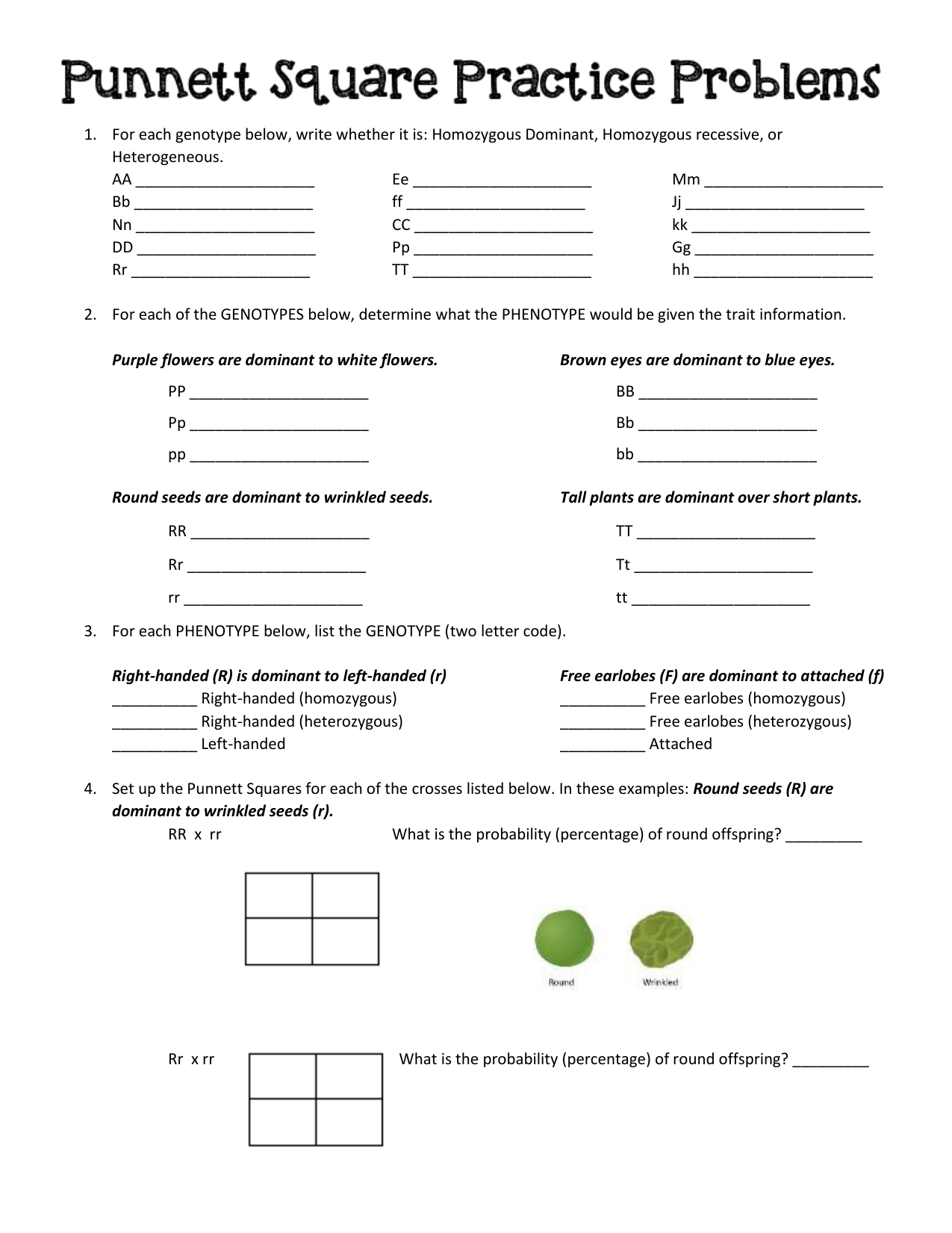 41 Punnett Square Worksheet 1 Answers Worksheet Master