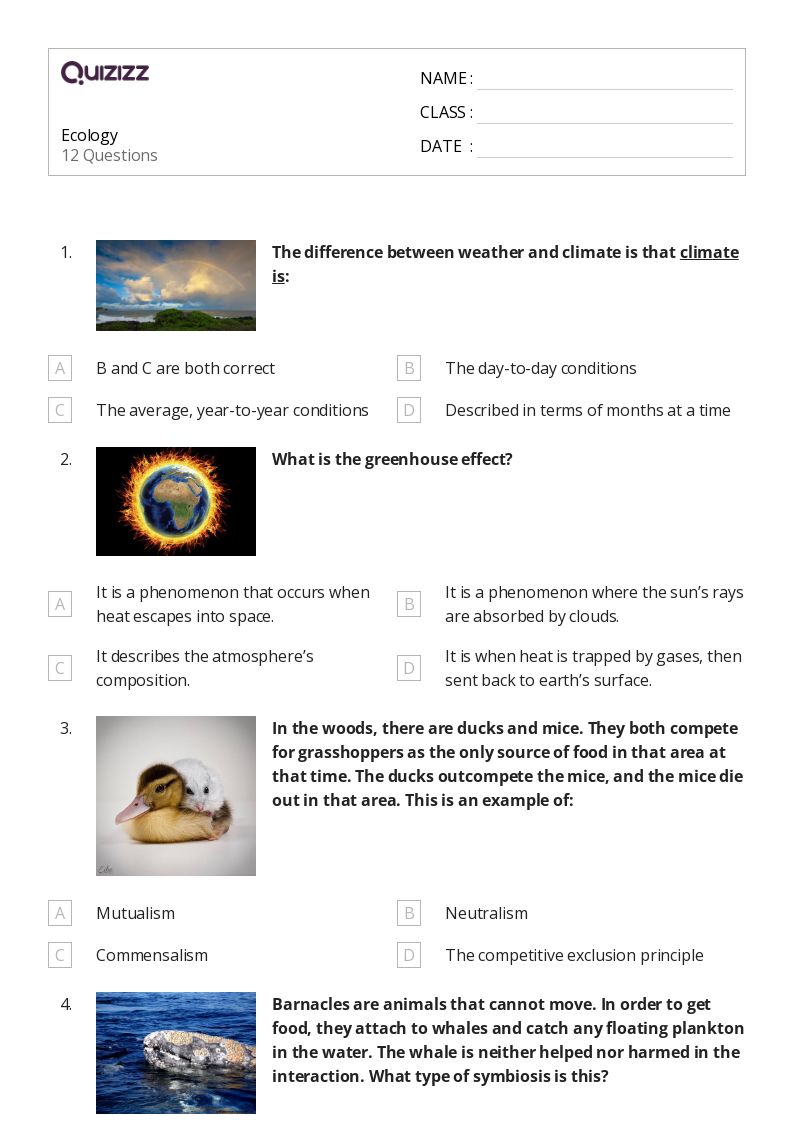 50 Ecology Worksheets On Quizizz Free Printable