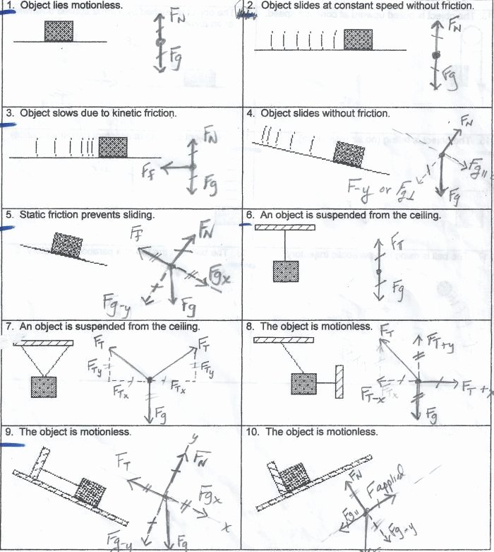 50 Free Body Diagram Worksheet Answers