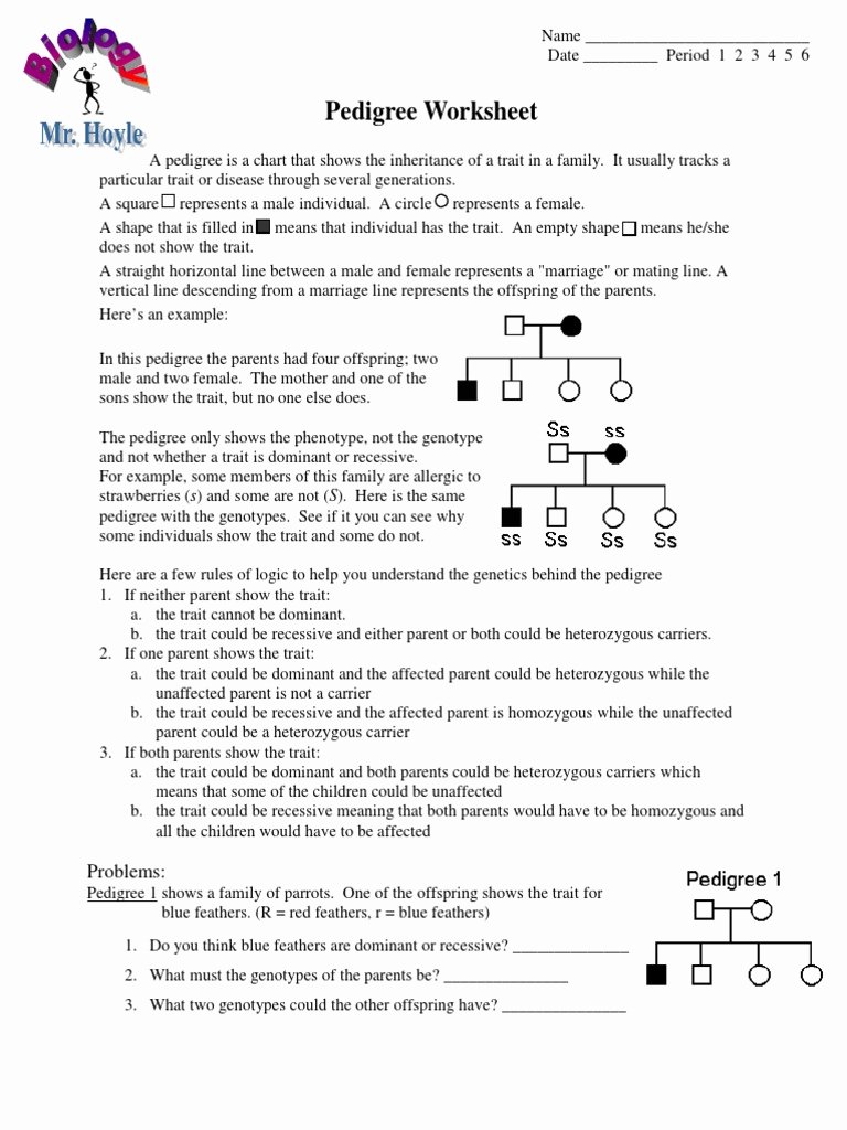 50 Genetics Pedigree Worksheet Answers