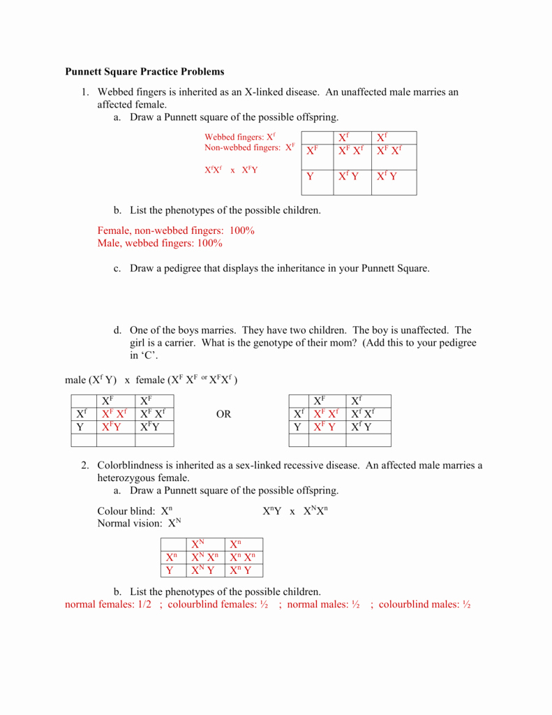 50 Genetics X Linked Genes Worksheet