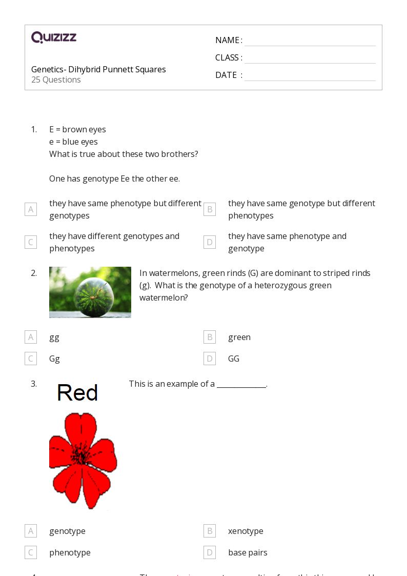 50 Punnett Squares Worksheets For 9Th Grade On Quizizz Free Amp Printable