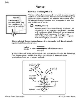 6Th Grade Fun Worksheets Pdf