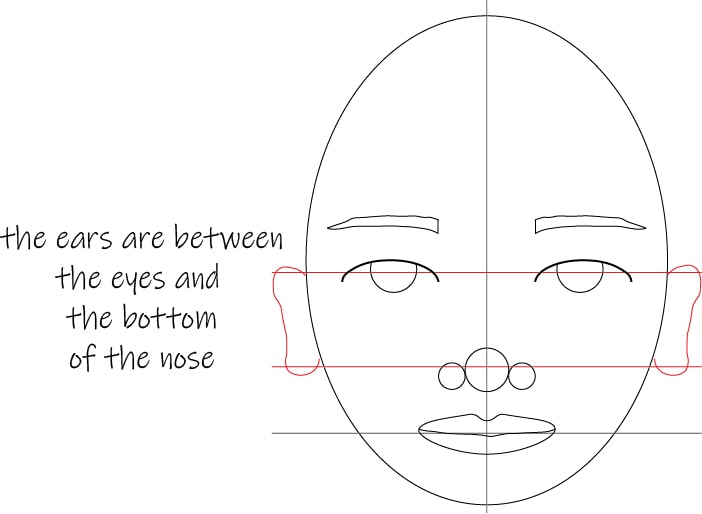 9 Steps To Mastering Female Face Proportions Easy Tutorial For Beginners Artful Haven