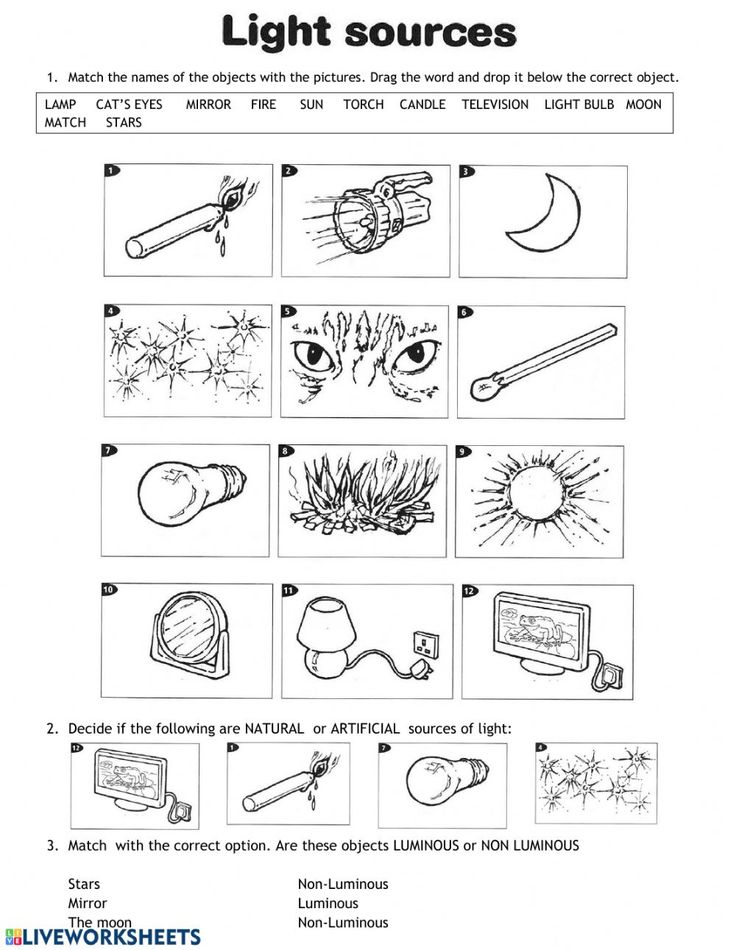 5 Ways to Place a Chart on a Worksheet