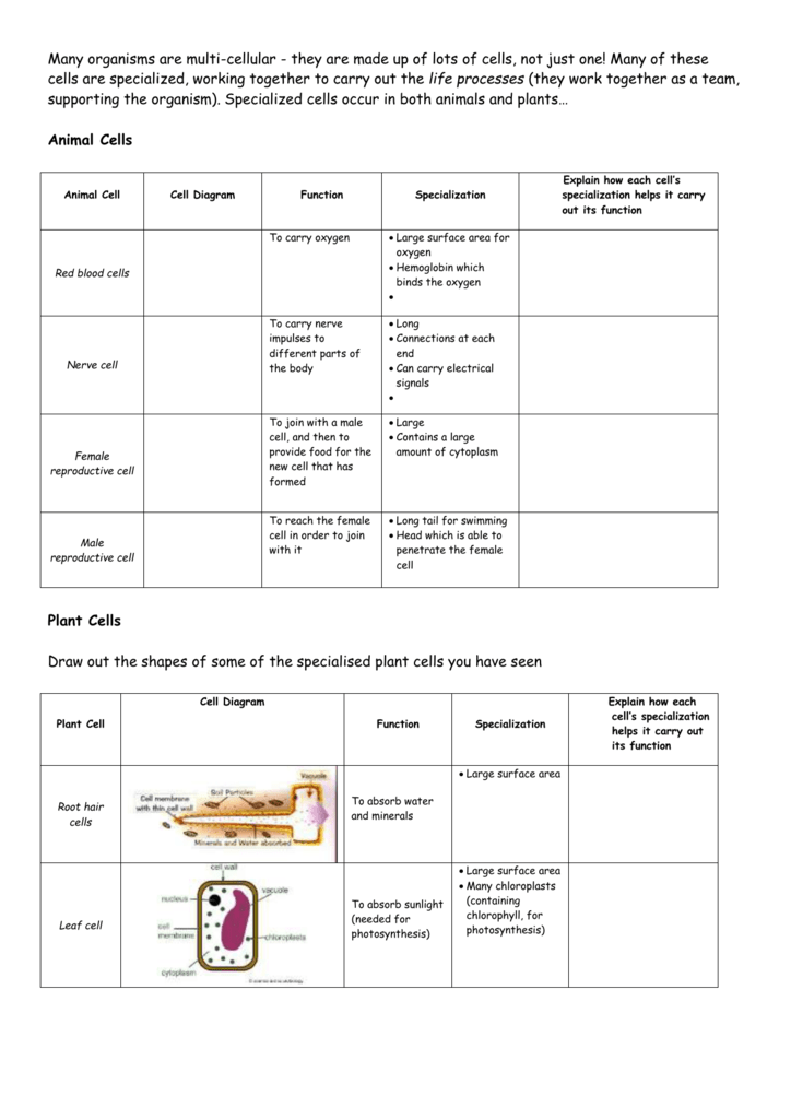 Selecting a Vertical Group of Cells in Excel Worksheets