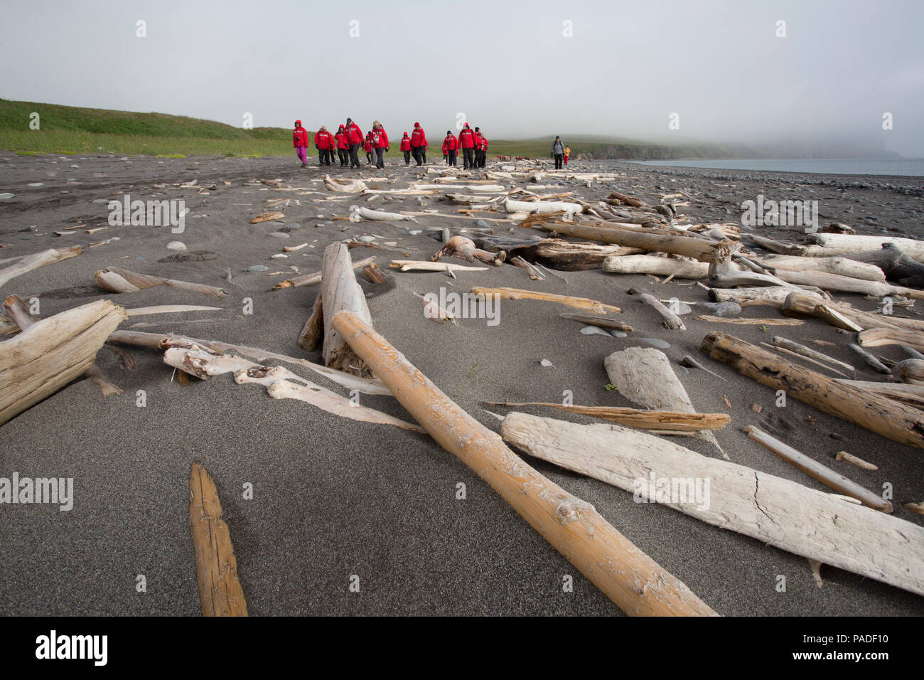 Alaska Beringsee St Matthew Island Fr Hling Stockfotografie Alamy