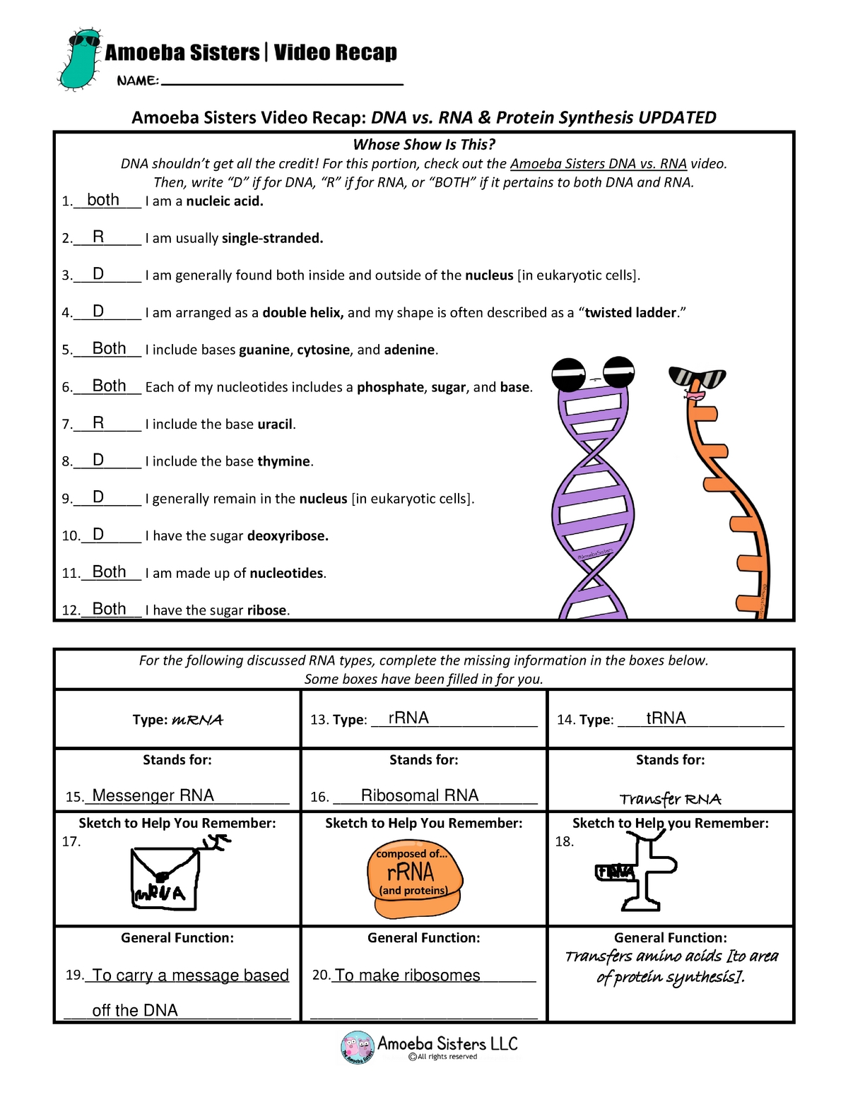 5 Ways Amoeba Sisters DNA vs RNA Worksheet Answers