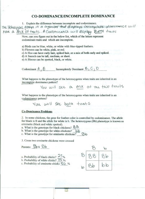 Amoeba Sisters Incomplete Dominance Worksheet Answer Key Revealed