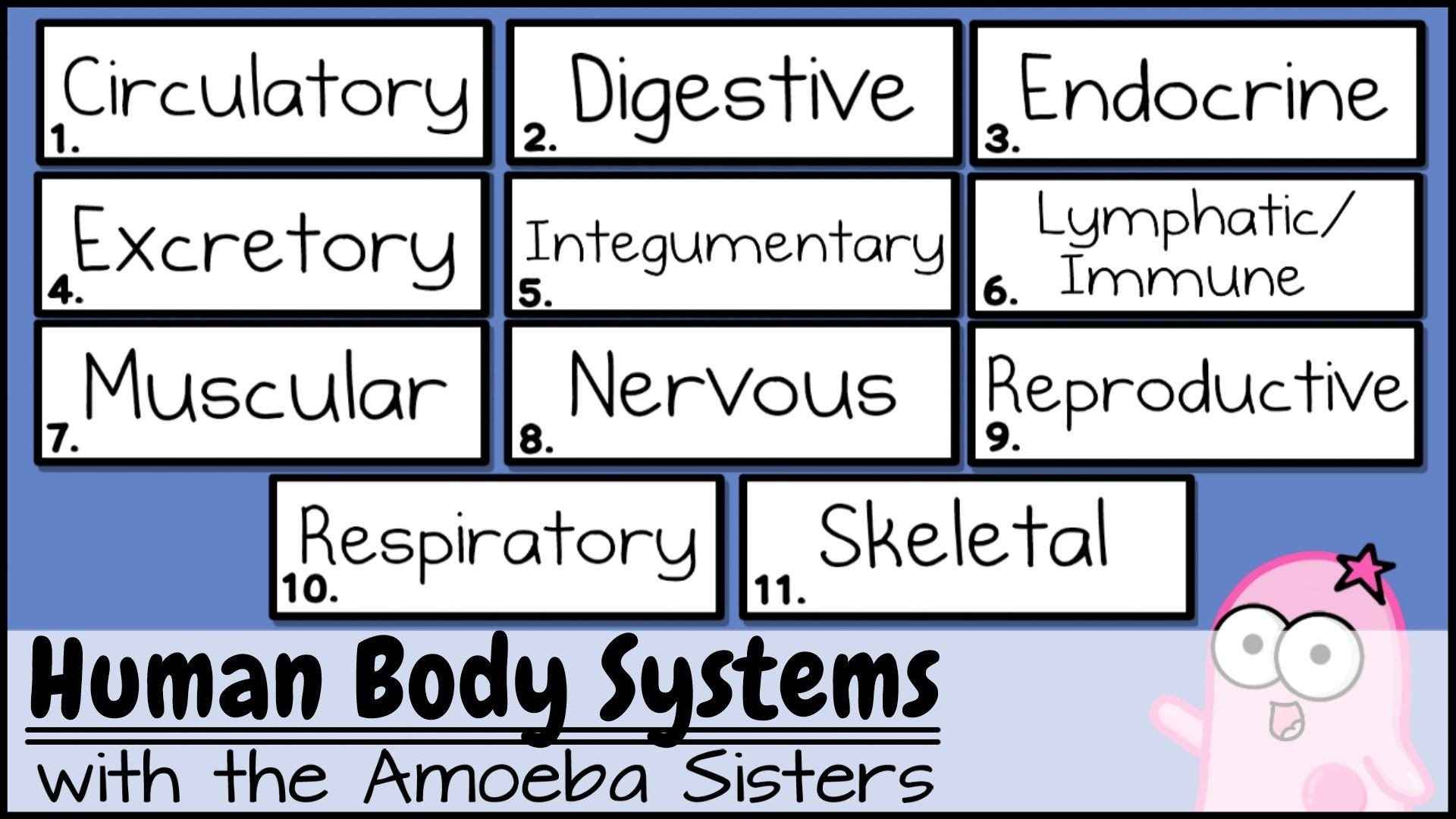 5 Ways to Master Amoeba Sisters Mutations Worksheet