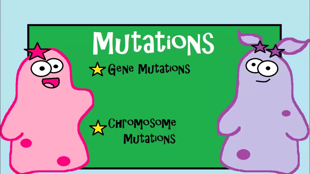 Amoeba Sisters Video Recap Mutations