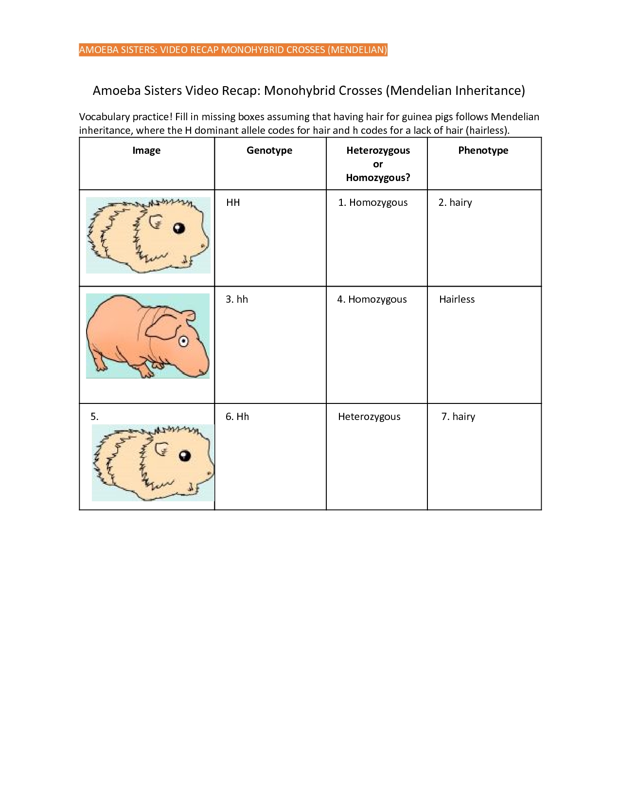 Fun Learning with Amoeba Sisters Worksheets