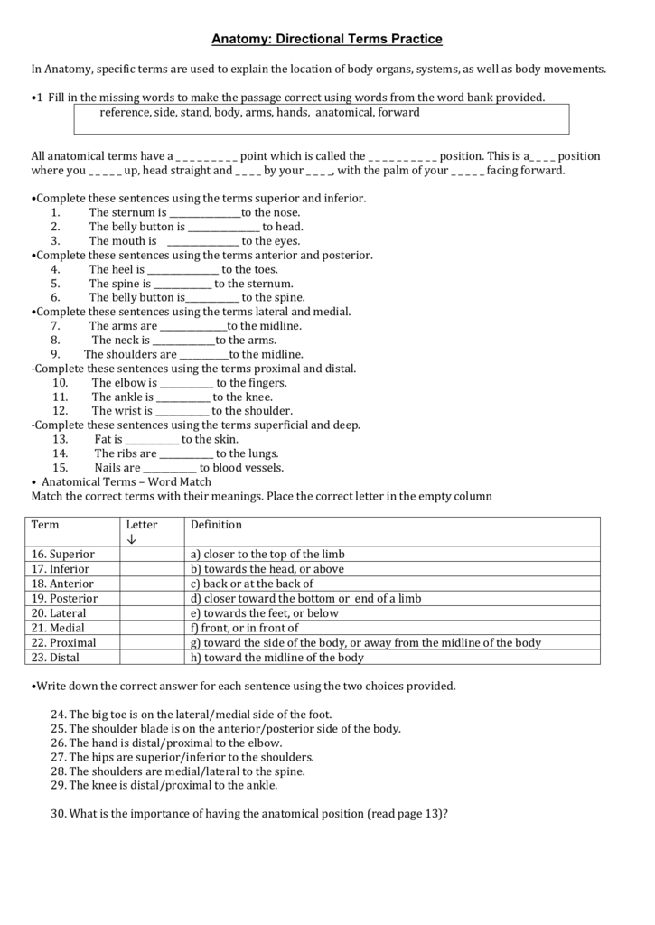 Anatomical Directional Terms Worksheet Answers Handicraftsise