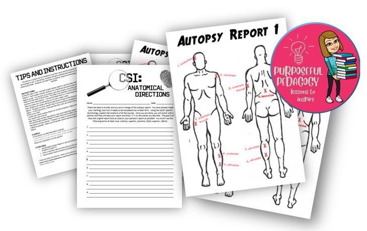 Anatomical Directions Worksheet