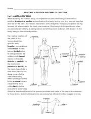 Anatomical Position Worksheet Pdf