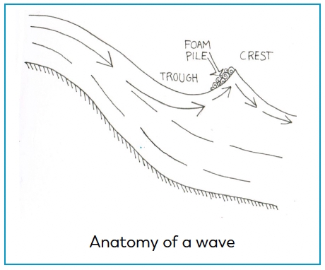 5 Ways to Master Wave Anatomy