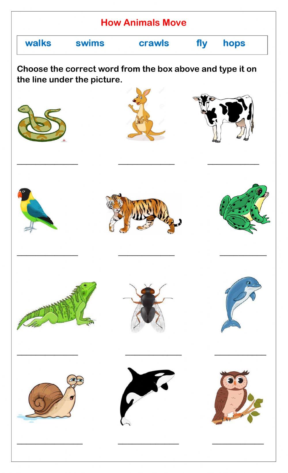 Animals Worksheet For Kindergarten