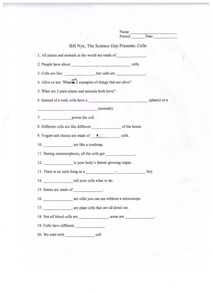 Answer Key Bill Nye Plants Worksheet Answers