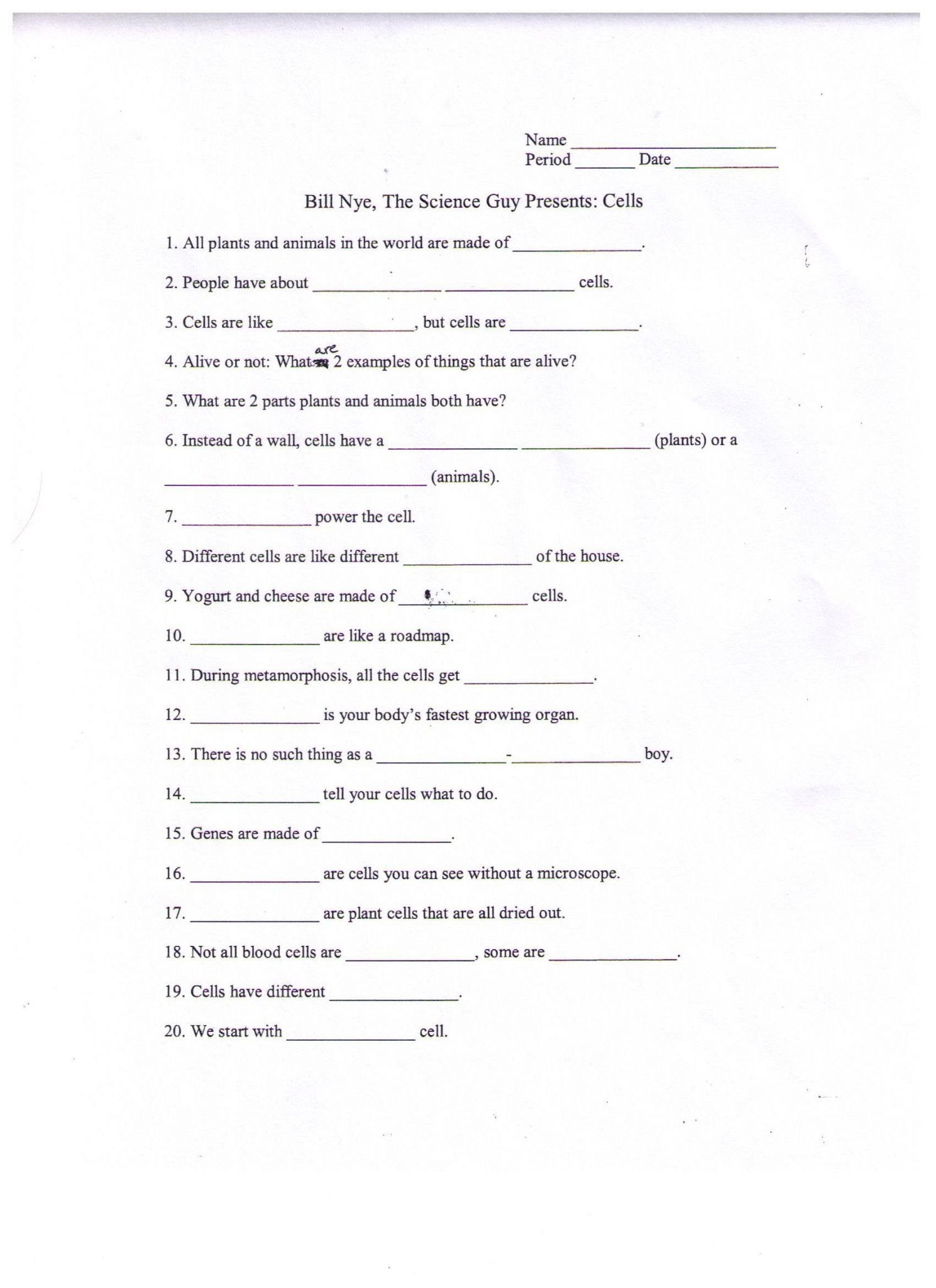 Bill Nye Seasons Worksheet Answer Key