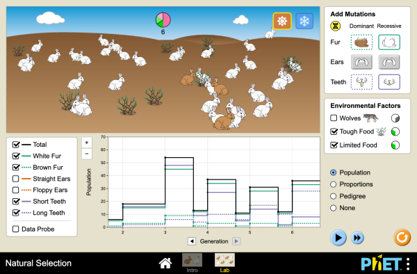 5 Ways to Master Natural Selection Simulation Answers