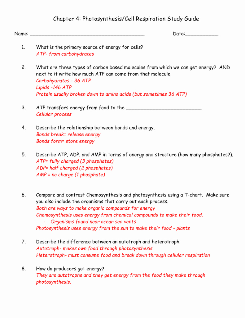 Atp Activity Worksheet Answer Key