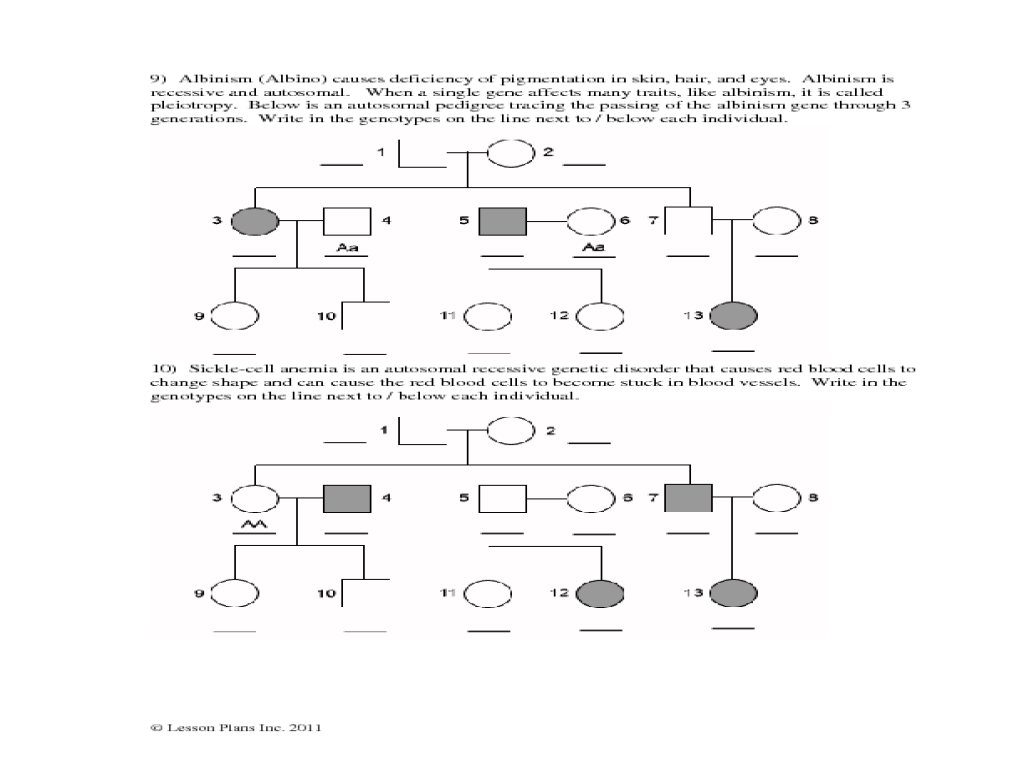 Autosomal Pedigrees Worksheet Worksheet For 7Th 10Th Grade Lesson Planet