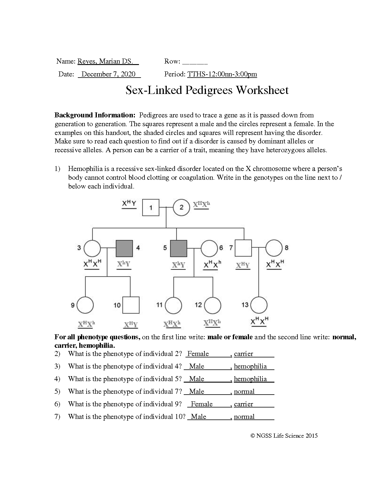 Autosomal Pedigrees Worksheet Made Easy