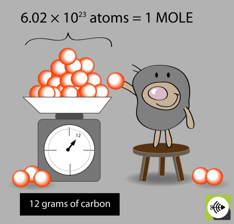 Avogadro's Number and the Mole Worksheet Answers