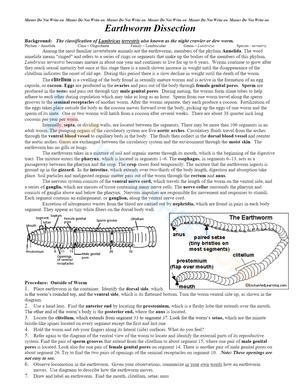 Basic Biology Earthworm Dissection Lab Activity By Suburban Science