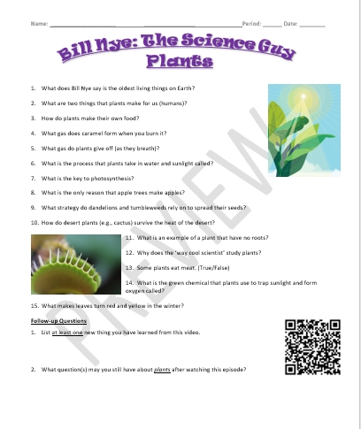 5 Tips from Bill Nye Plants Worksheet