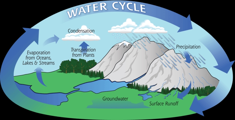 6 Ways Bill Nye Explains the Water Cycle