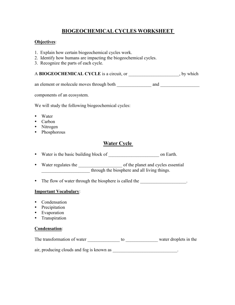 Unlock Biogeochemical Cycles Worksheet Answers