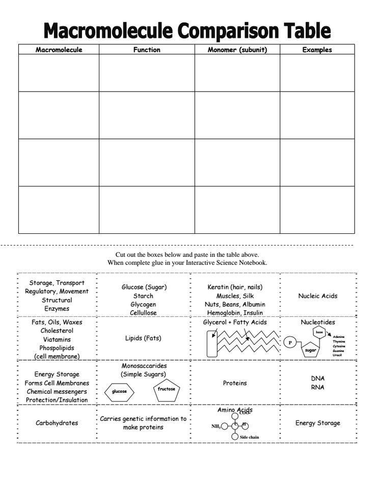 Biological Molecules Worksheet Pdf