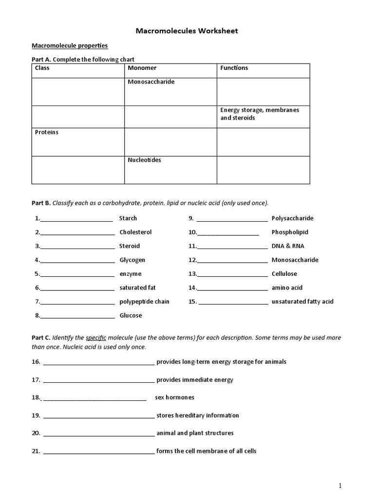 Master 4 Types of Biology Macromolecules Easily