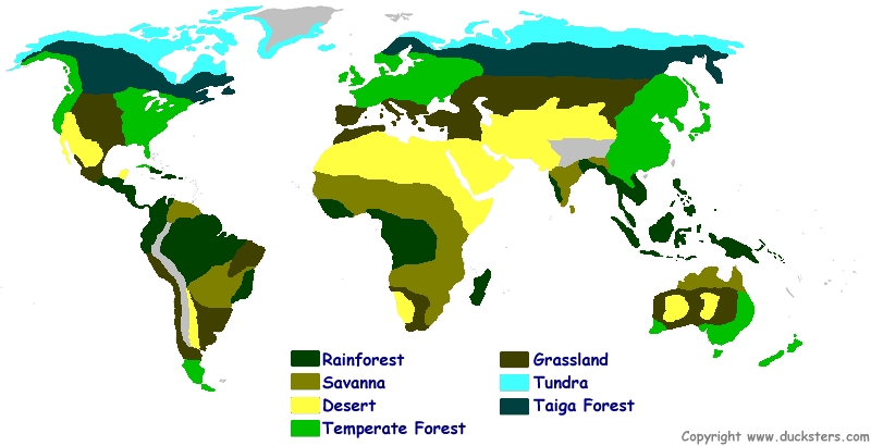 5 Ways to Color a Biome Map Worksheet