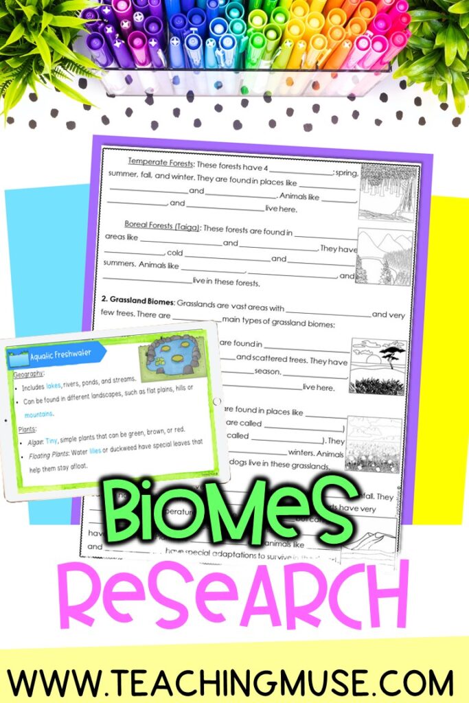 Biome Map Coloring Worksheets Answers