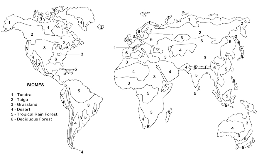 Biomes Worksheet Answer Key