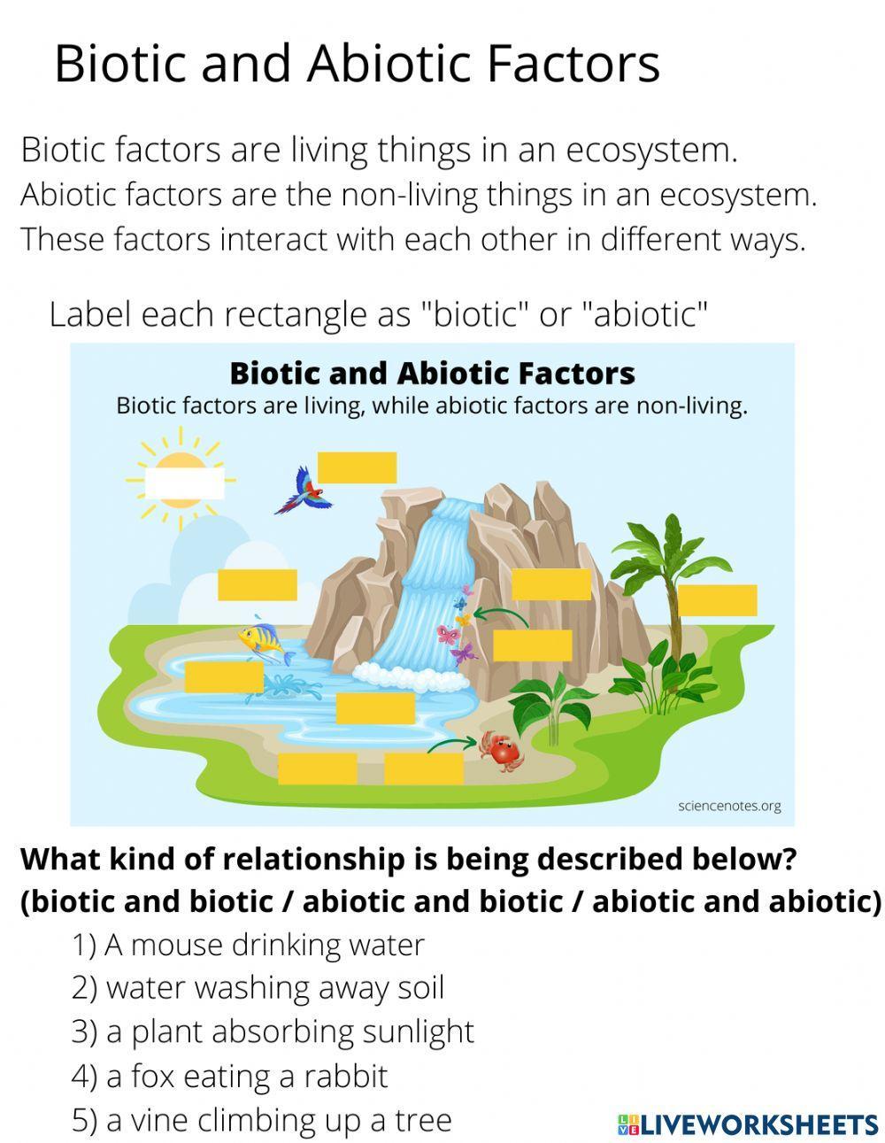 Biotic and Abiotic Factors Worksheet for Students