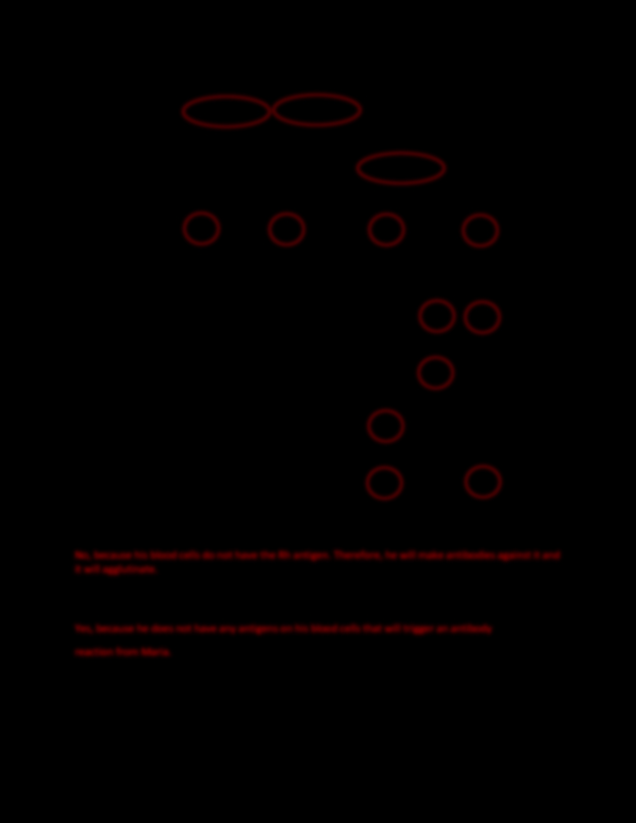 4 Ways to Understand Blood Types Worksheet Answer Key