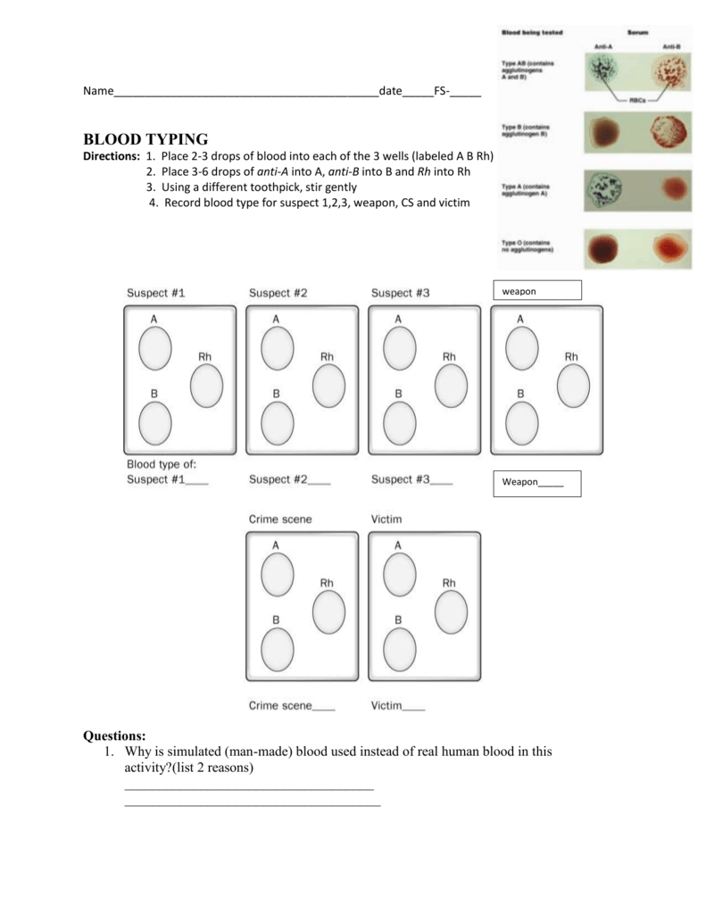 Blood Typing Lab Test Simulation Human Bio Media