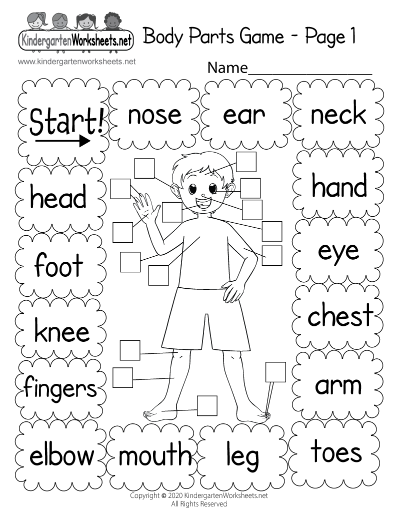 5 Fun Ways to Teach Body Parts to Kindergartners