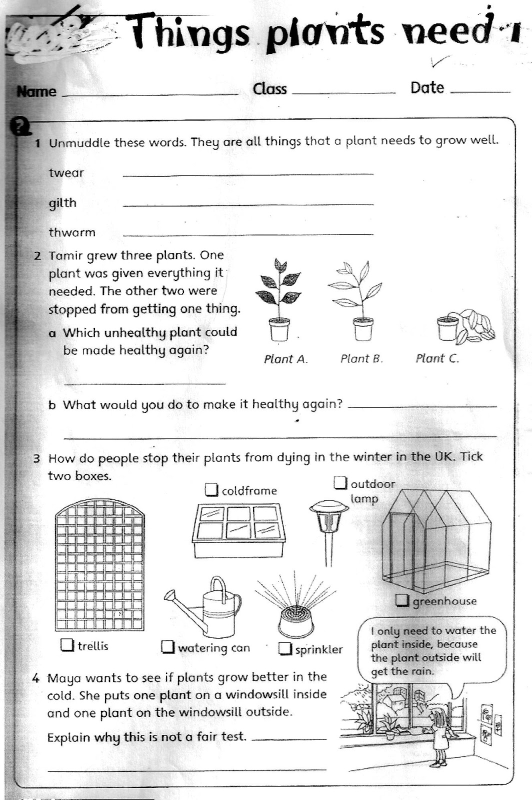 Cambridge Grade 3 Science Worksheets