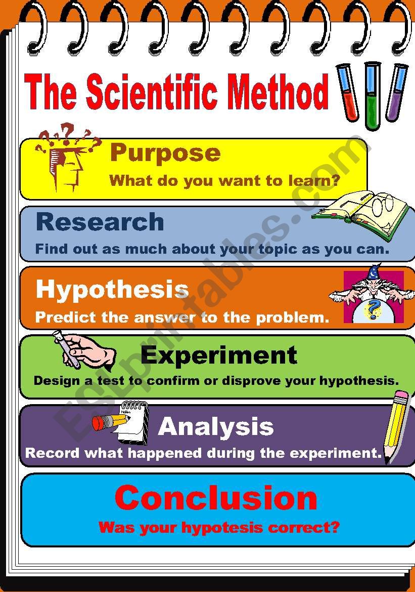 Spot the Scientific Method Worksheet for Kids